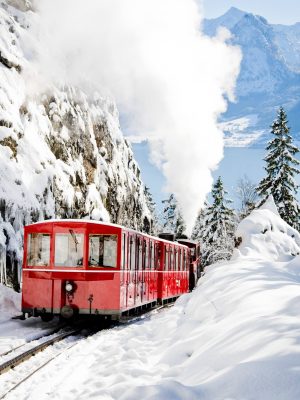 Wolf-Schaf-afbeeldin23