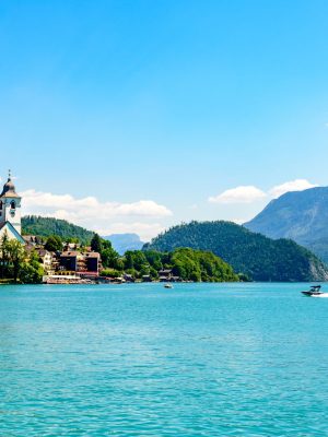 Wolf-Schaf-afbeelding1