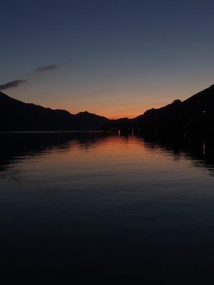 Wolf-Schaf-afbeelding2