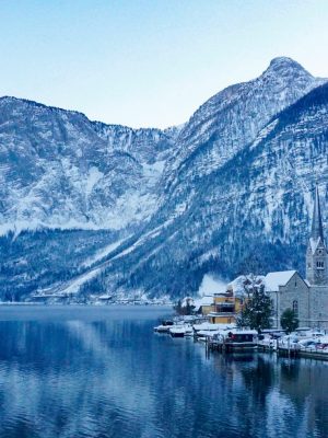 Wolf-Schaf-afbeelding24