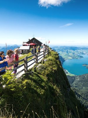 Wolf-Schaf-afbeelding5