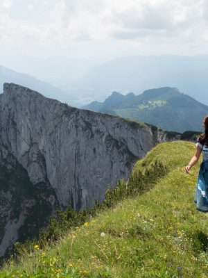 Wolf-Schaf-afbeelding6