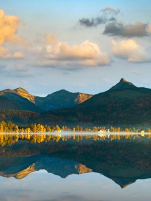 Wolf-Schaf-afbeelding7